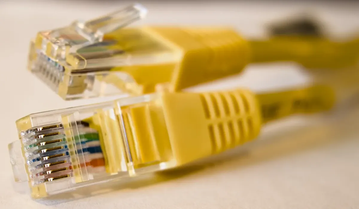 Câbles réseau branchés sur un switch