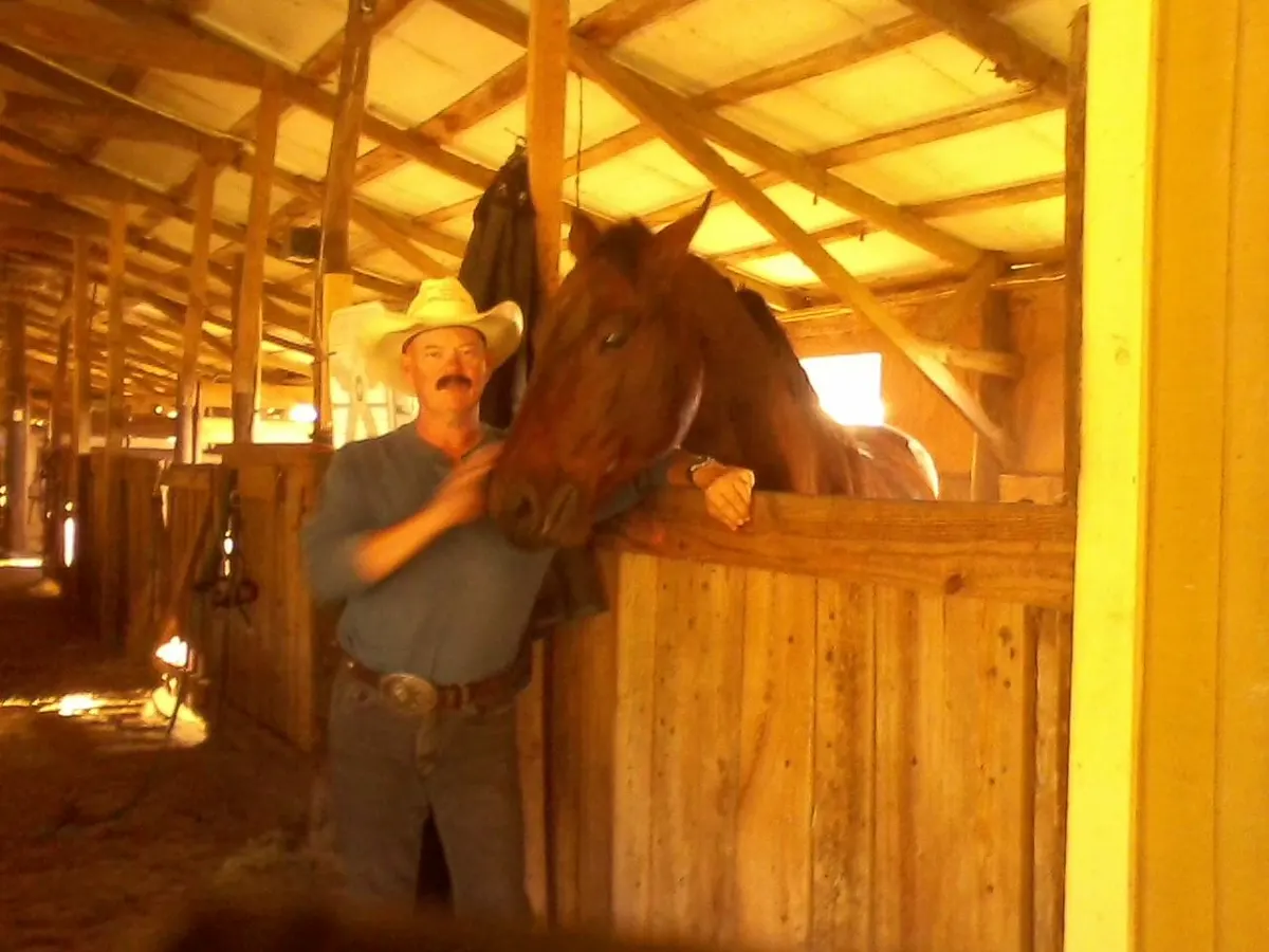 Cheval dans une écurie