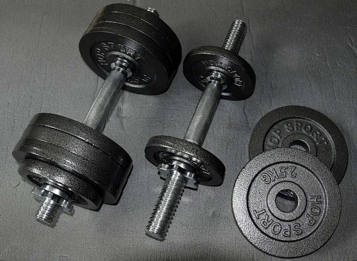 Haltères dans une salle de sport