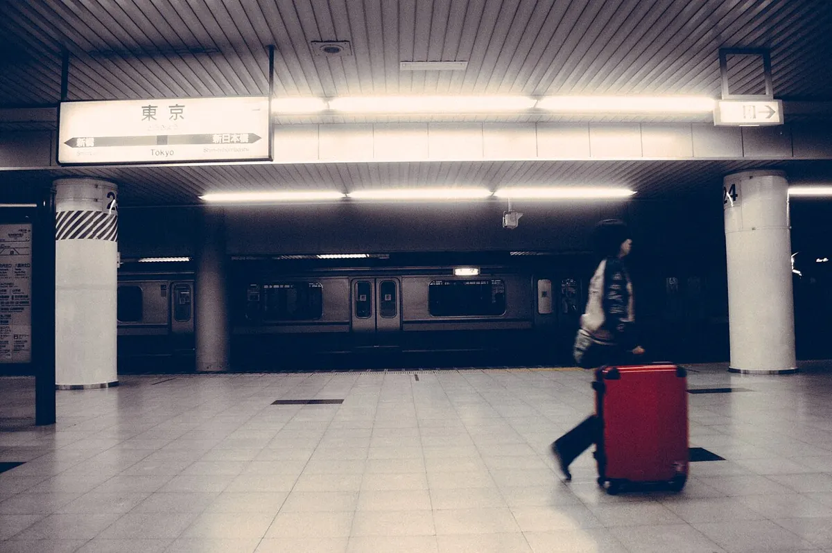 Valise de voyage