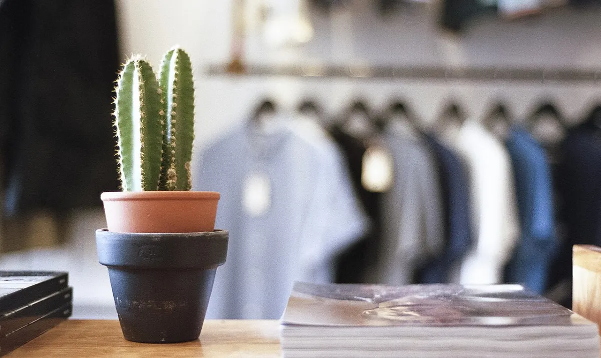 Vitrine d'une boutique de mode